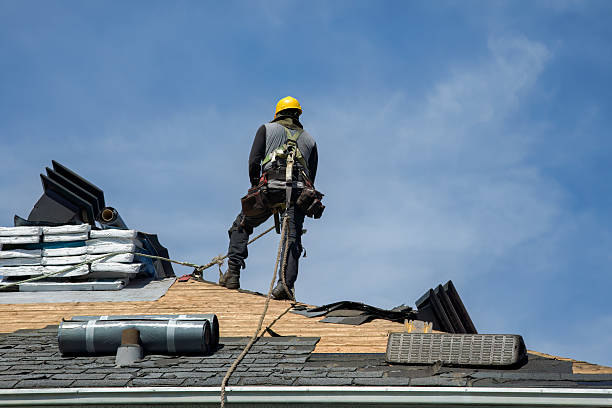 Professional Gutter Installation technician working in Genoa, NE